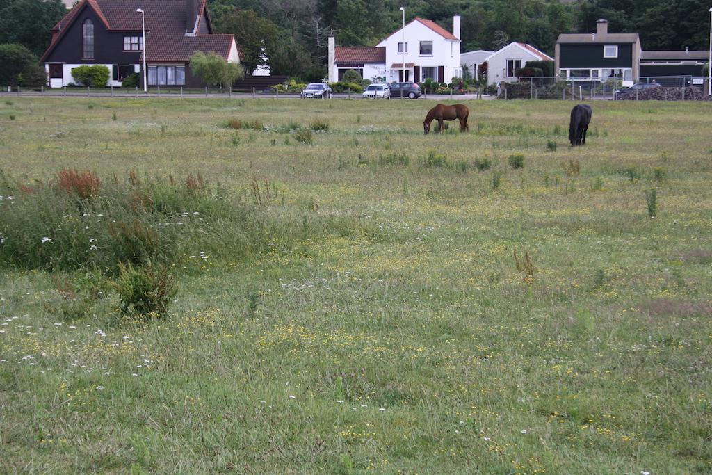 Villa 'T Haasduin Wijk aan Zee Eksteriør bilde