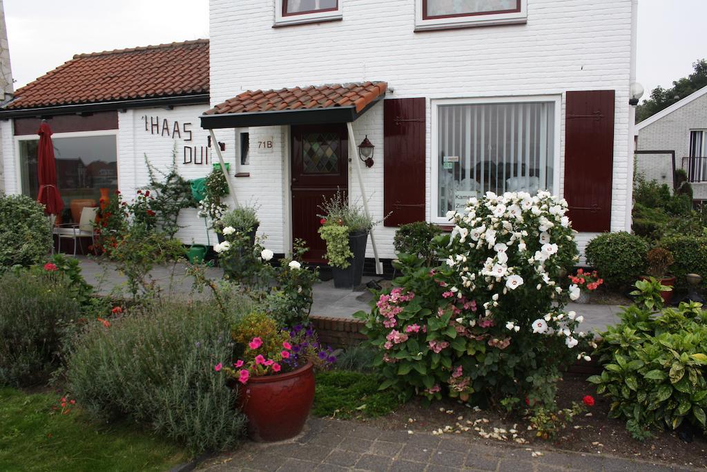 Villa 'T Haasduin Wijk aan Zee Eksteriør bilde